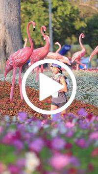 BIB:  <button type="button" onclick="openModal(27588726)" class="btn btn-primary btn-sm float-right" data-toggle="modal" data-target=".modal-high-quality">
                <i class="fa fa-download"></i> Download
                </button>